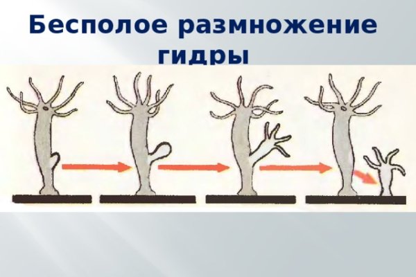 Кракен макет даркнет