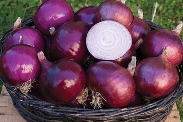 Kraken рабочее зеркало onion